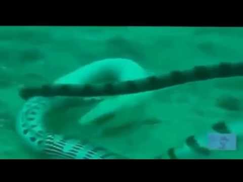 подводная охота на реке хопер