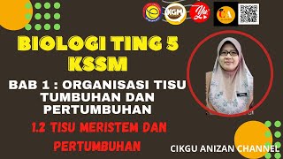 1.2 TISU MERISTEM DAN PERTUMBUHAN(BIOLOGI TING  5 KSSM)