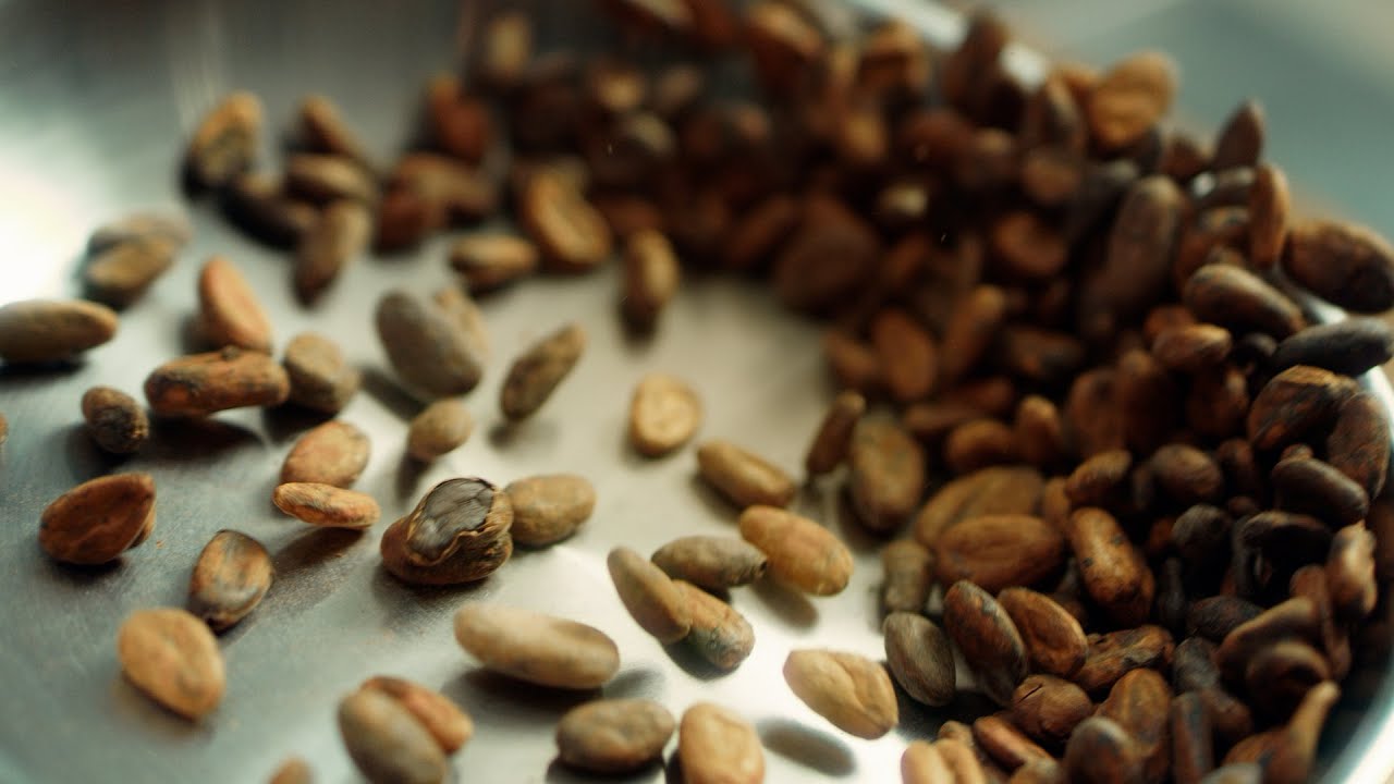Day 4 The Aztecs Used Cocoa Beans As Currency YouTube Day 4 The Aztecs Used Cocoa Beans As Currency YouTube
