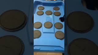 DIY Aeroponics cloning machine! #letsgrow #aeroponics #cloning #Diy#diygarden #roots #hydroponics