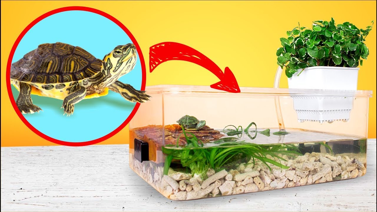 ⁣Einfaches und günstiges DIY Terrarium für Rotwangen-Schmuckschildkröten