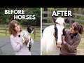 Life before vs after horses funny 