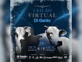 Leilão Virtual Di Genio - Etapa Machos