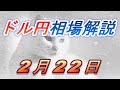 【TAKA FX】ドル円為替相場の今週の動きと来週の展望をチャートから解説。日経平均、NYダウ、金チャートも。2月22日～