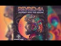 Psydemia  journey into the sound