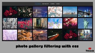 How to Create a Photo Gallery Filtering with HTML, CSS, and JavaScript