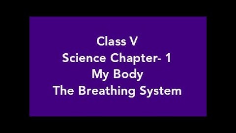 The Breathing System ll My Body ll Class 5 Science Chapter 1