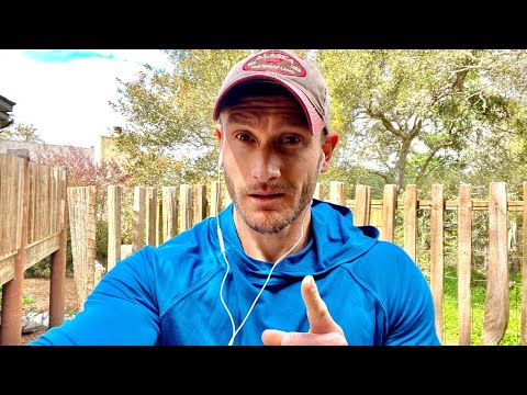 We Need MORE Than Vitamin C - MAGNESIUM, Vitamin D and ZINC - Live Discussion - We Need MORE Than Vitamin C - MAGNESIUM, Vitamin D and ZINC - Live Discussion