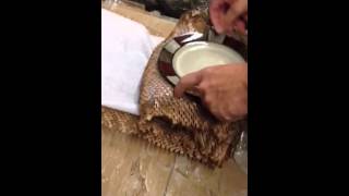 GEAMI Packing Md Plates