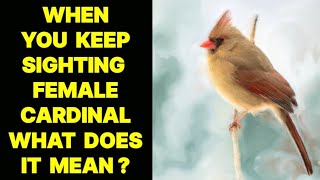 WHEN YOU KEEP SIGHTING A FEMALE CARDINAL BIRD WHAT DOES IT MEAN ?