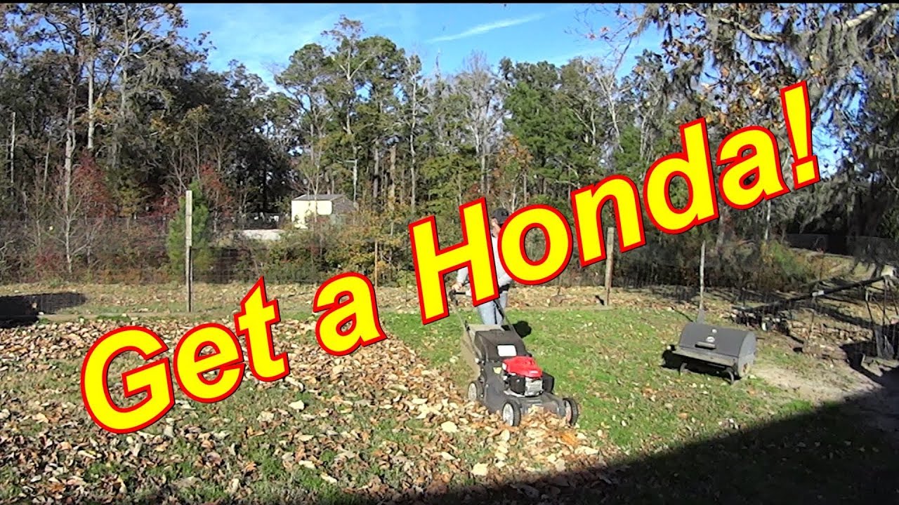 Cutting Grass - Fall / Winter Leaf Clean Up - Honda Mower Bagging Leaves