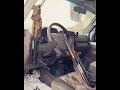 قولي غاب || حصري النسخة الأصلية