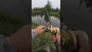 Download Lagu vis vangen..#vissen #mamcingliar #kortevideo #mancing #shorts #shortsfeed MP3 Download Lagu vis vangen..#vissen #mamcingliar #kortevideo #mancing #shorts #shortsfeed MP3