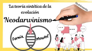 Neodarwinismo  TEORÍA SINTÉTICA de la EVOLUCIÓN