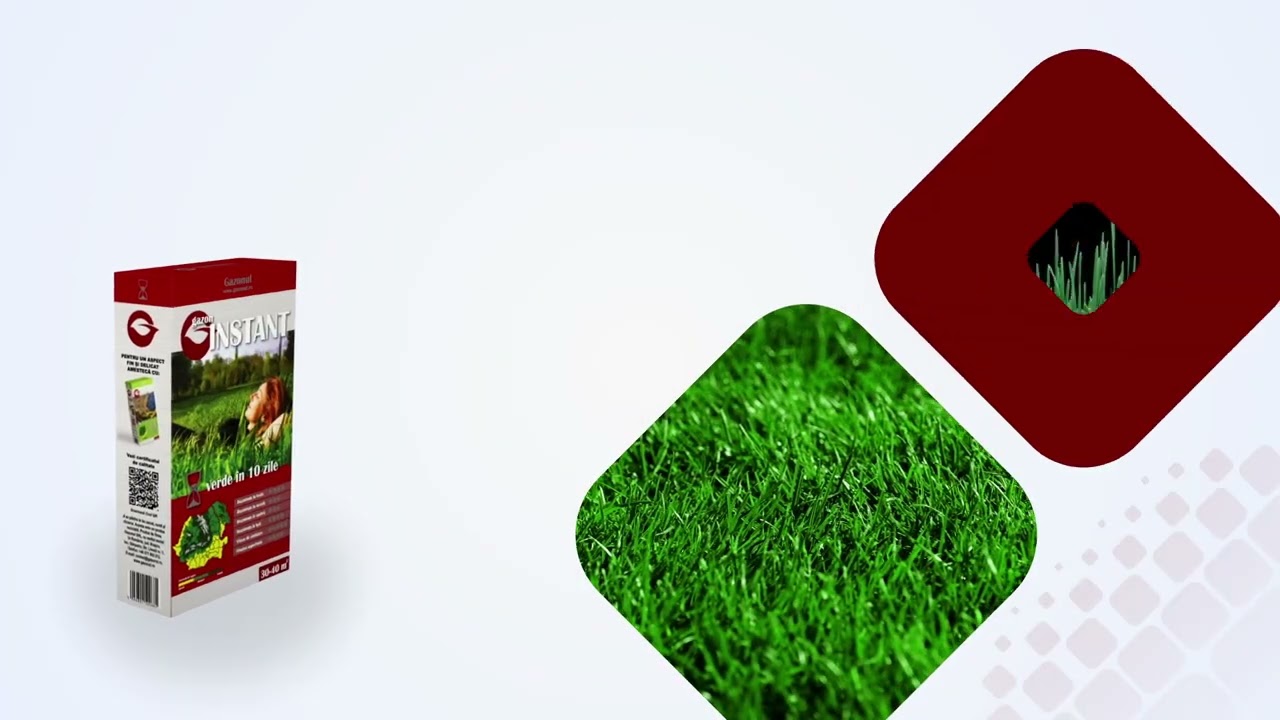 Prezentare video seminte gazon universal Instant