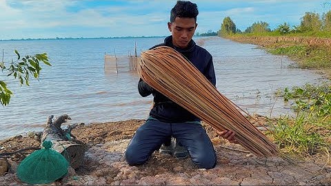 Cắm 100 Cây Cần Câu Vùng Biên Giới Trúng Đậm Bầy Cá Lóc Khủng 