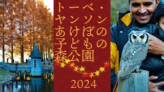 秋のトーベ・ヤンソンあけぼの子どもの森公園 4K