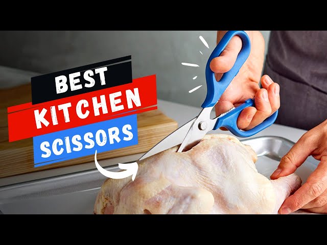 Best Kitchen Scissors In 2023