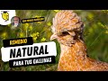 🌻🐔 Una solución 𝗡𝗔𝗧𝗨𝗥𝗔𝗟 para tus 𝗔𝗩𝗘𝗦