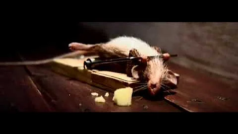 Mouse Trap - Cheese Advertisement