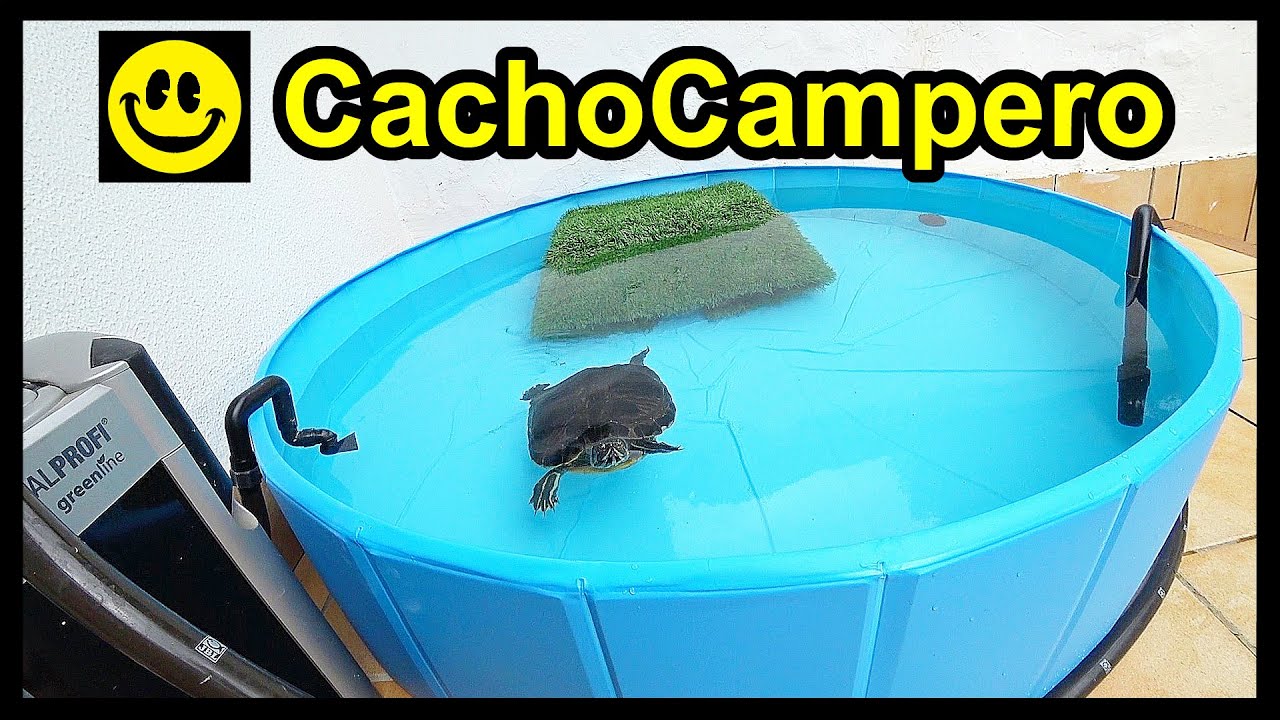 Como hacer una rampa para perros piscina