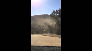 Sneeze Cedar Pollen Explosion