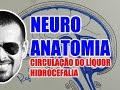 Hidrocefalia e Circulação do Líquor pelo Sistema Nervoso Central - Neuroanatomia - VideoAula 080