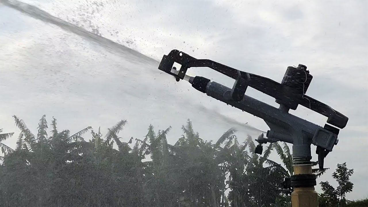 Irrigating maize with Atom 35 Rain gun sprinkler