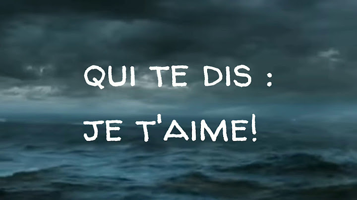Ludovick Bourgeois , Que sera ma vie? Lyrics