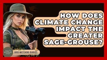 How Does Climate Change Impact The Greater Sage-Grouse? - Bird Watching Diaries