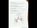 Broncho pulmonary segment and Bronchial Tree #respiratorysystem #bams #anatomy #bamsnotes