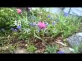 君がすべてさ MRB.mp4