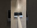 Take her for a walk, and the floor of your home will become spotless#lefant #shorts #vacuummop #home