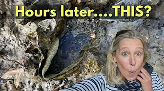 Mudlarking Marathon - I Didn't  Expect to Find This… Mudlarking the River Thames with Nicola White