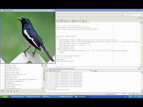 Demonstration of Bird Recognition Programming by Particle Swarm Optimization
