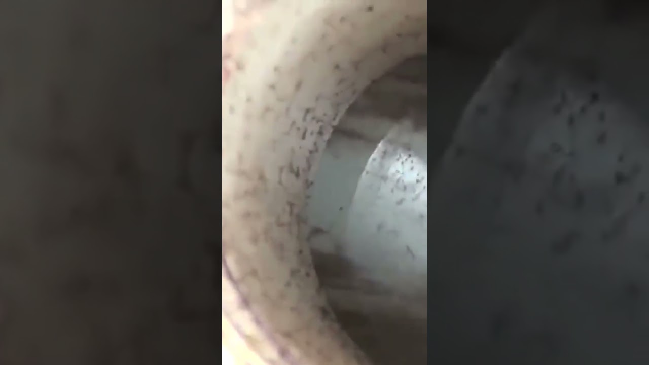 Emergency Plumbing Fixes Every Homeowner Should Know