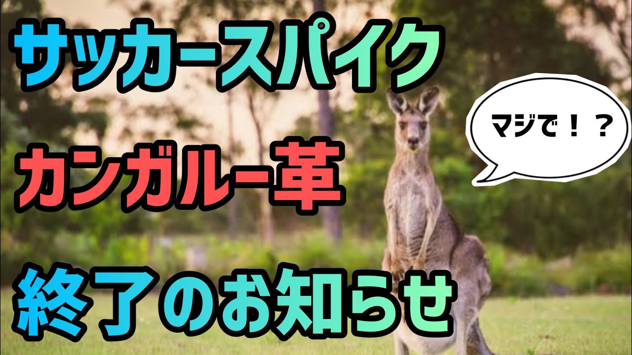 衝撃発表】カンガルー革終了のお知らせ… - YouTube
