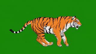 Tiger Animal Running Green Screen | Animal Stampede Green Screen