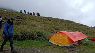 Spot terbaik buat camp ALUN ALUN SURYA KENCANA GUNUNG GEDE PANGRANGO#gedepangrango #hiking