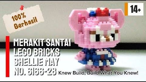 Merakit Santai Lego Bricks Shellie May No. 6166-28