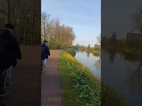 Schiedam netherlands #short