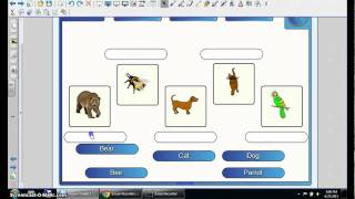 Lesson Activity Toolkit - Image Match