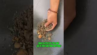 Traditional D Mining, I Found 4Grams Of D In A Small Stream