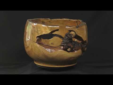 Woodturning Stump bowl