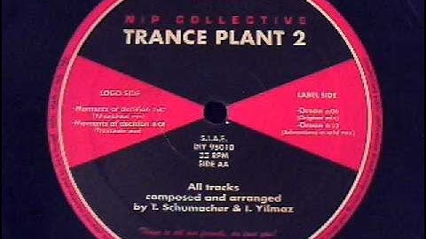 NIP Collective - Ocean