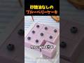 砂糖油なしのブルーベリーケーキ