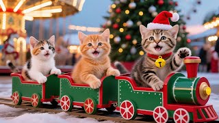 Best for Cats: White Xmas with Cats Dogs & Colorful Birds Videos