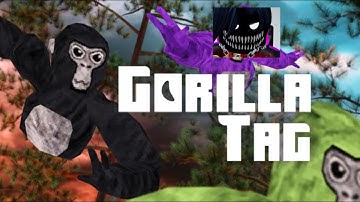 How to Get Tiny in The Dungeon Maze (Gorilla Tag Vr)