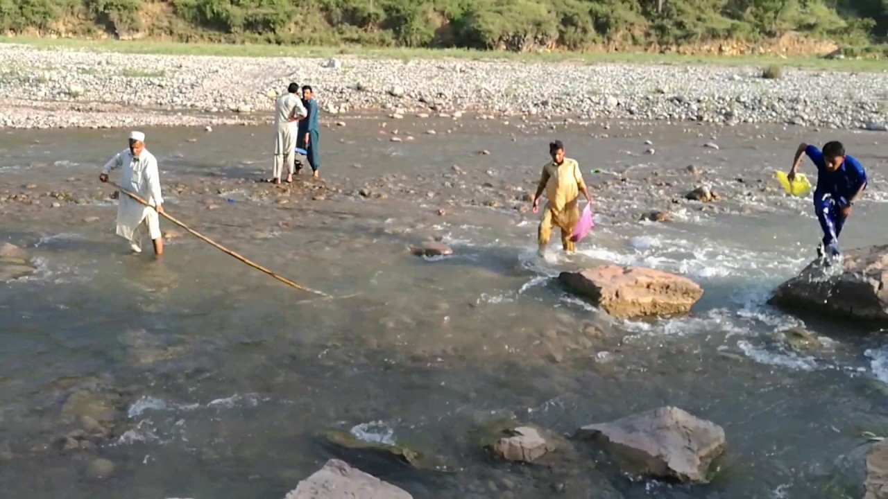 Fishing in Pakistan YouTube