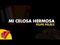 Mi Celosa Hermosa, Felipe Peláez, Video Letra - Sentir Vallenato